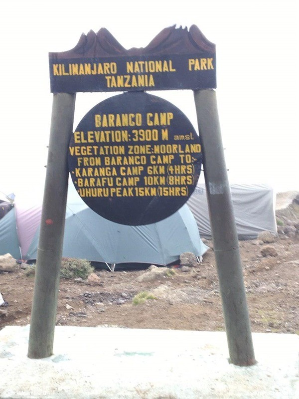 ������������ ����� ��� 2018-2019, ���� 27