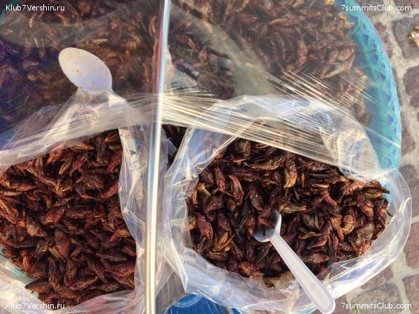 �������. ������-������� 2019, ���� 18