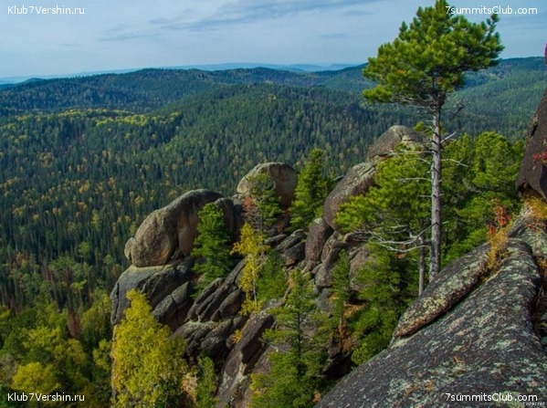 ������, ���� 43