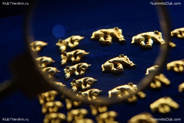 ������, ���� 26