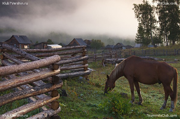 ������, ���� 27