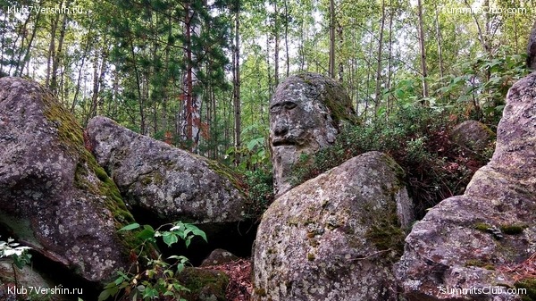 ������, ���� 7