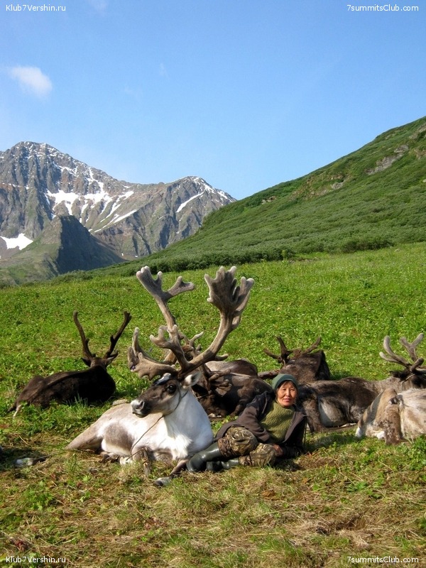 ������, ���� 71