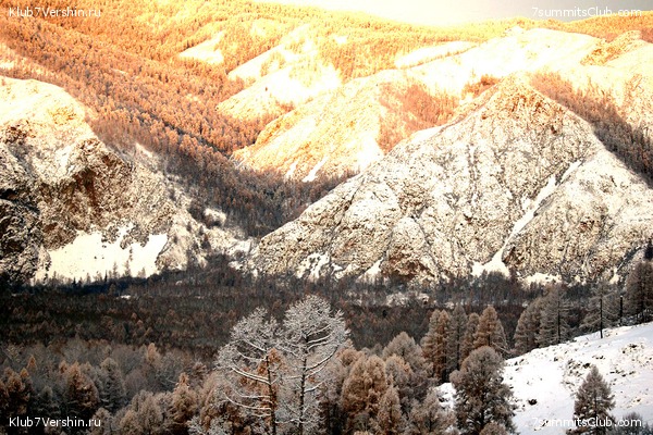 ������, ���� 31