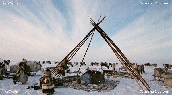 ������, ���� 1