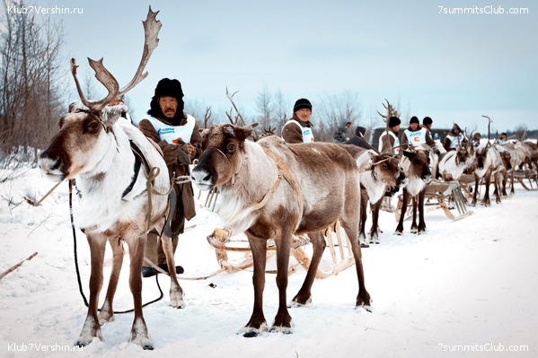 ������, ���� 33