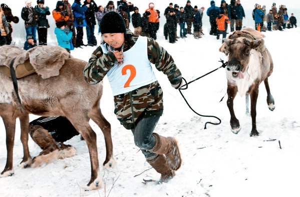 ������, ���� 15