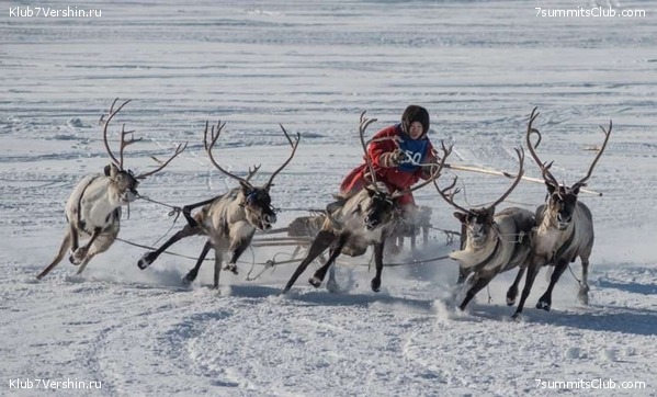 ������, ���� 11