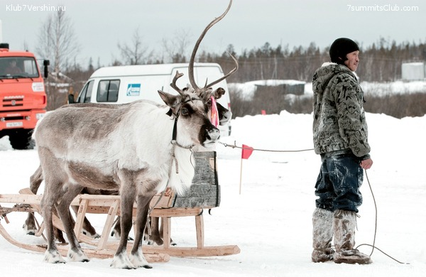 ������, ���� 14