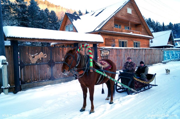 ������, ���� 25