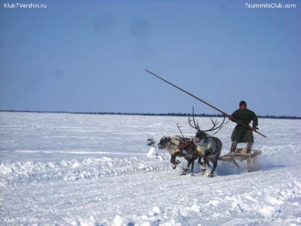 ������, ���� 67