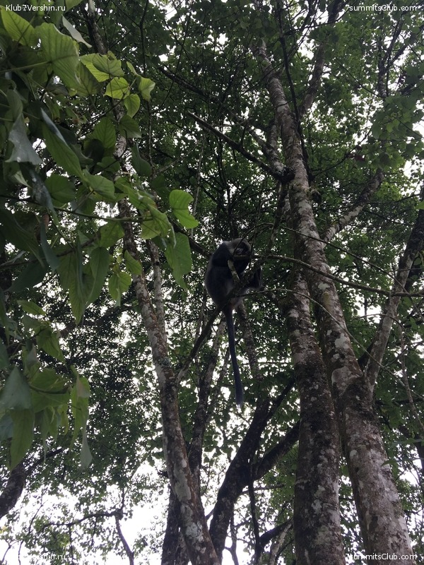 ������������. ����� ��� 2019. ������� �����, ���� 24