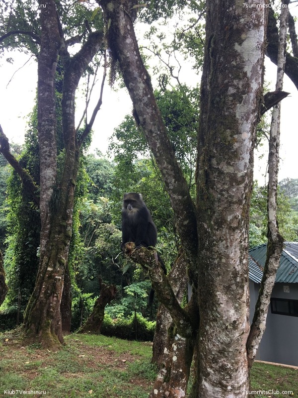 ������������. ����� ��� 2019. ������� �����, ���� 29