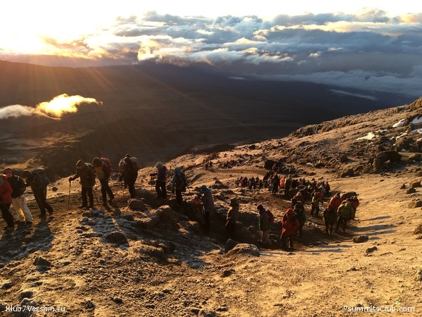 ������������. ����� ��� 2019. ������� �����, ���� 16