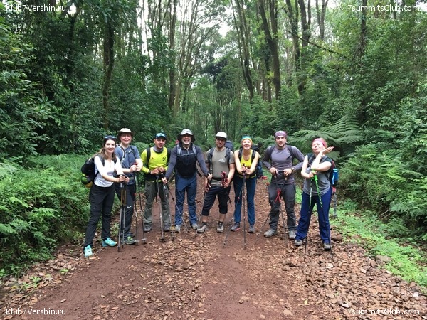 ������������. ����� ��� 2019. ������� �����, ���� 21