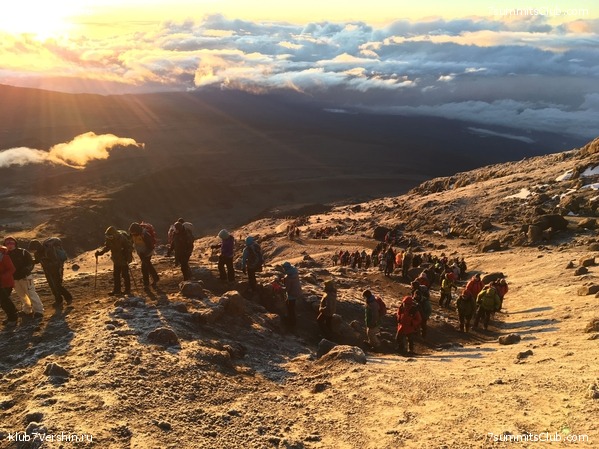 ������������. ����� ��� 2019. ������� �����, ���� 5