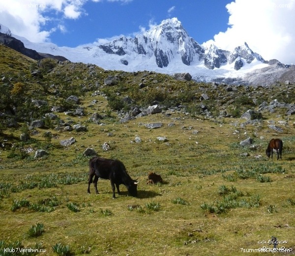 ����������� ������, ���� 37