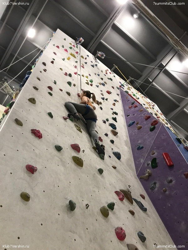 ���������� ������ ����� 2018 - 2019, ���� 98