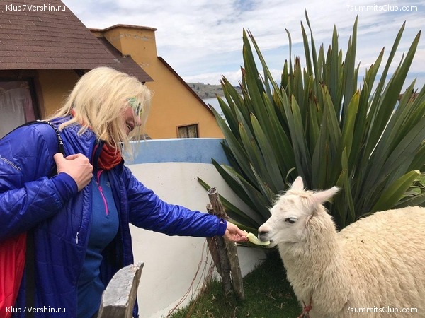 ������� 2019. �����, ���� 44