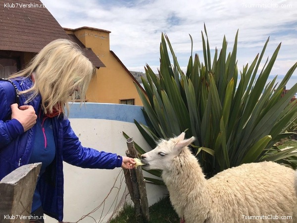 ������� 2019. �����, ���� 45