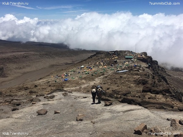 ������������ 2019 ���. ���� - ���, ���� 8