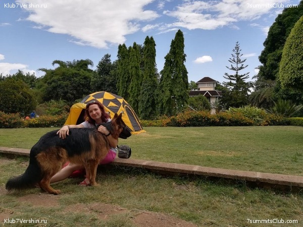 ������������ � ����������� ���������. ������� 2019, ���� 74