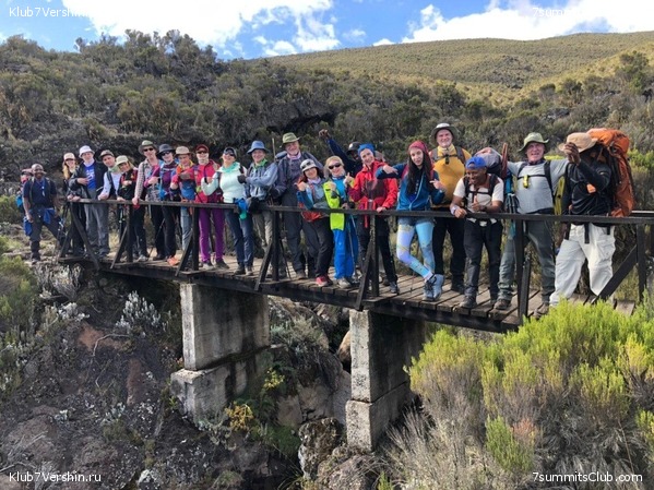 ������������ � ����������� ���������. ������� 2019, ���� 8