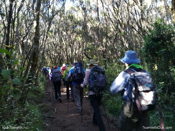 ������������ � ����������� ���������. ������� 2019, ���� 80