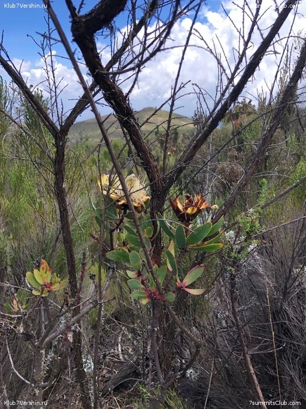 ������������ � ����������� ���������. ������� 2019, ���� 107