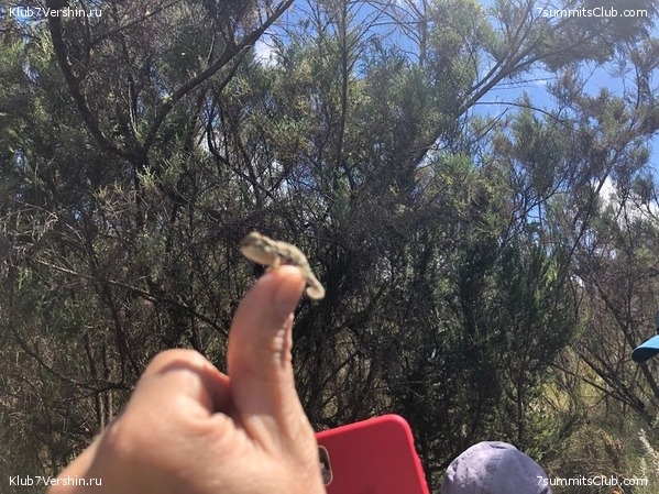 ������������ � ����������� ���������. ������� 2019, ���� 33