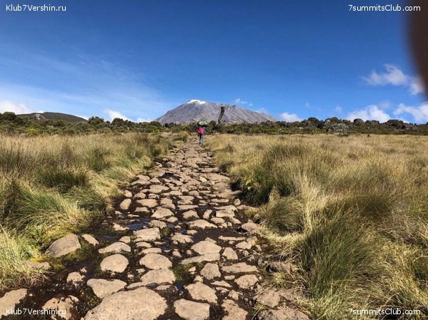 ������������ � ����������� ���������. ������� 2019, ���� 34