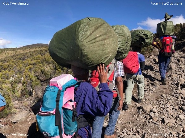 ������������ � ����������� ���������. ������� 2019, ���� 35