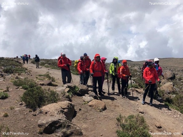 ������������ � ����������� ���������. ������� 2019, ���� 37