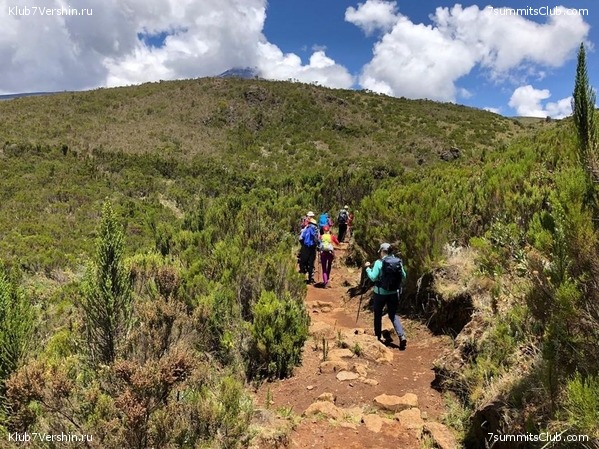 ������������ � ����������� ���������. ������� 2019, ���� 40