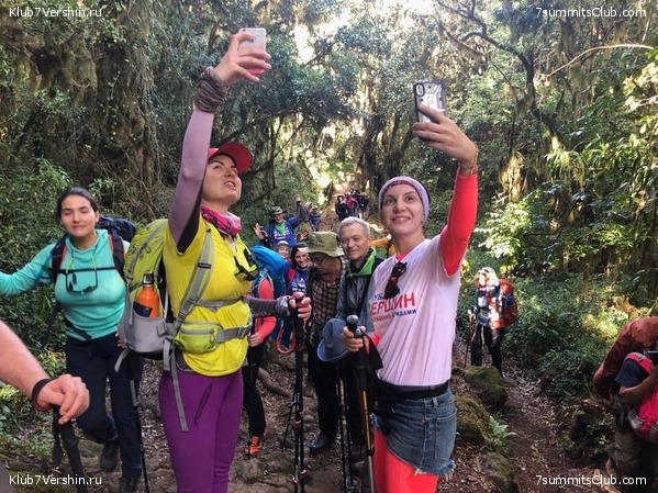 ������������ � ����������� ���������. ������� 2019, ���� 41