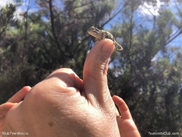 ������������ � ����������� ���������. ������� 2019, ���� 43