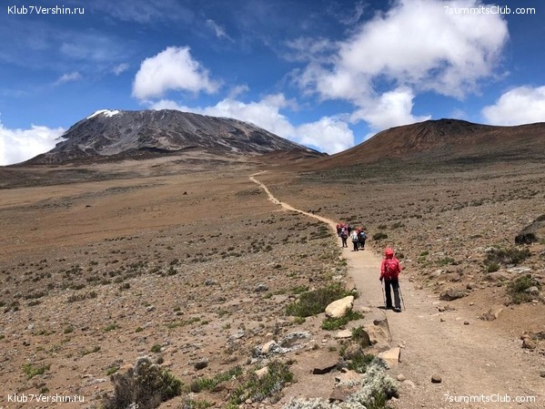 ������������ � ����������� ���������. ������� 2019, ���� 44