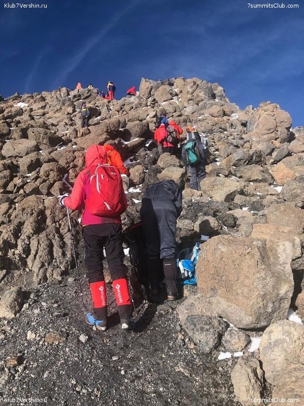 ������������ � ����������� ���������. ������� 2019, ���� 113