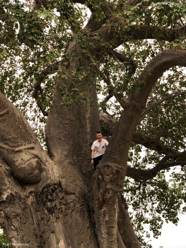 ������������ � ����������� ���������. ������� 2019, ���� 115