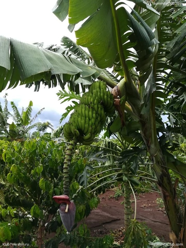 ������������ � ����������� ���������. ������� 2019, ���� 116