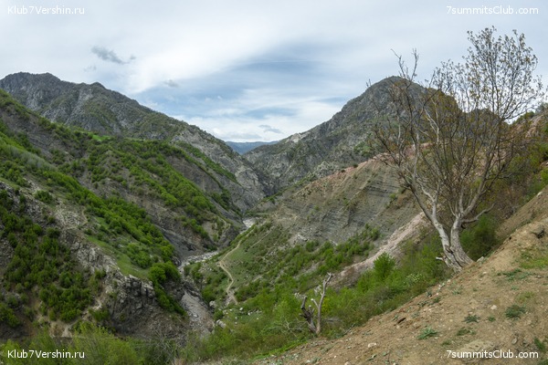 �����������, ���� 38