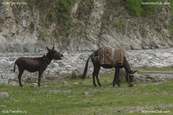 �����������, ���� 16