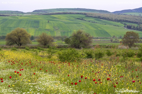 �����������, ���� 39