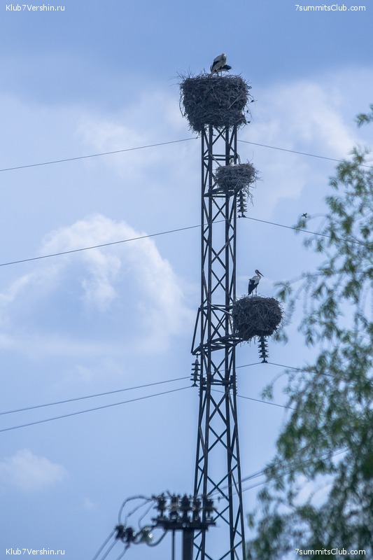 �����������, ���� 109