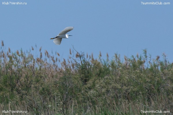 �����������, ���� 53