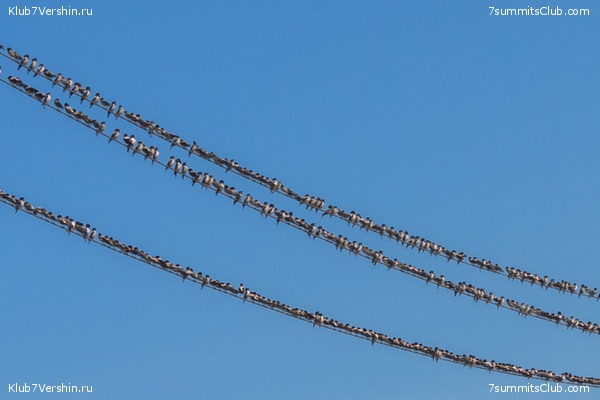 �����������, ���� 58