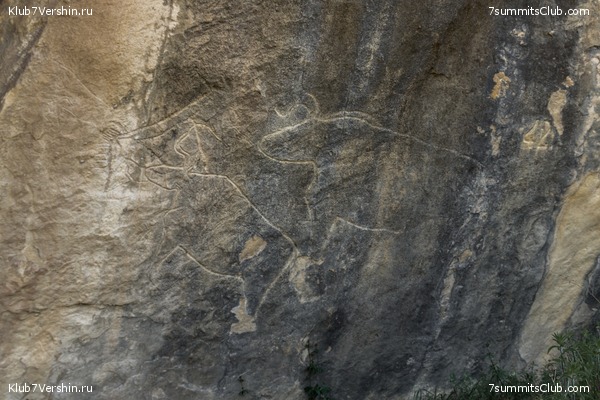 �����������, ���� 64