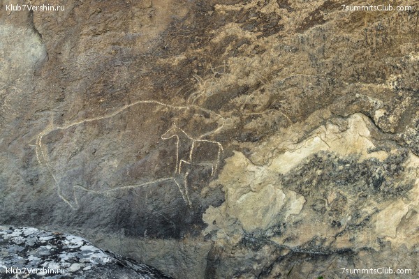 �����������, ���� 66