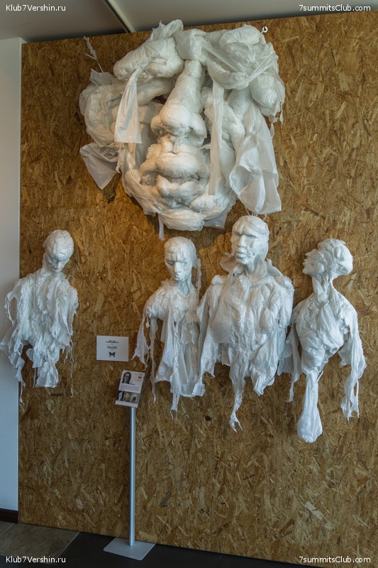 �����������, ���� 113