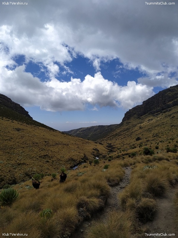 ����� �����. ������. ���� 2019. �.������, ���� 13